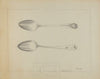 Silver Spoon