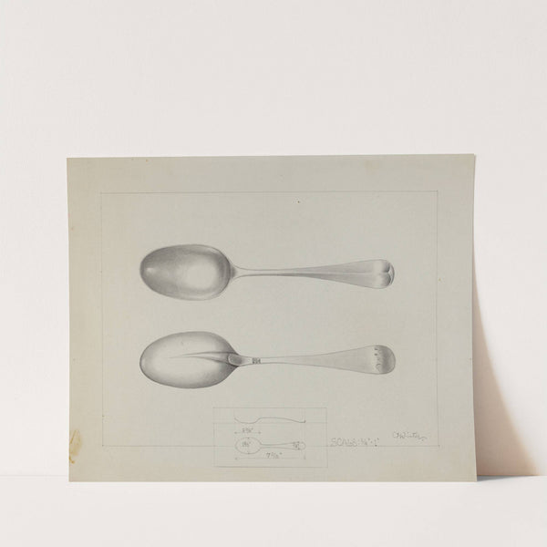 Silver Spoon by Charlotte Winter