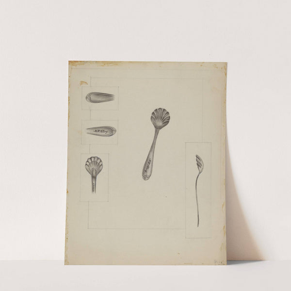 Silver Sugar Spoon by Anthony Zuccarello