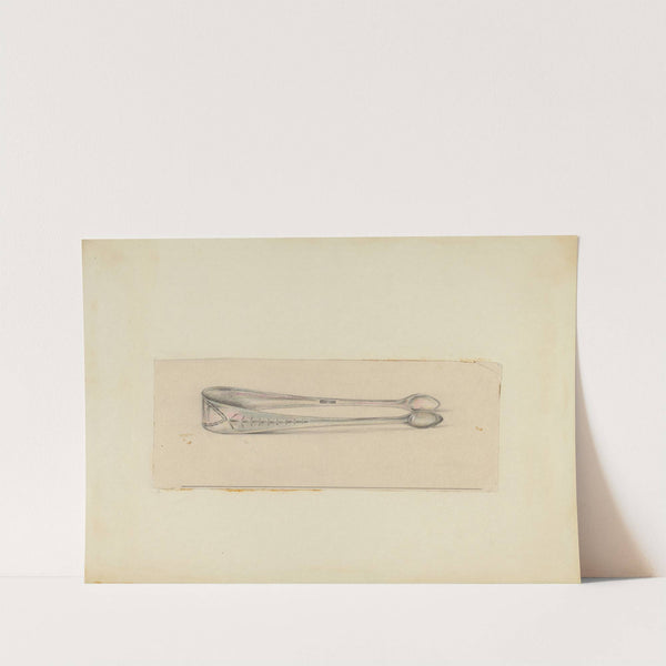 Silver Sugar Tongs by Mary Berner