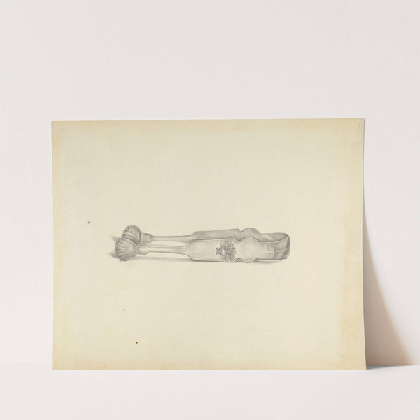 Silver Sugar Tongs by American 20th Century
