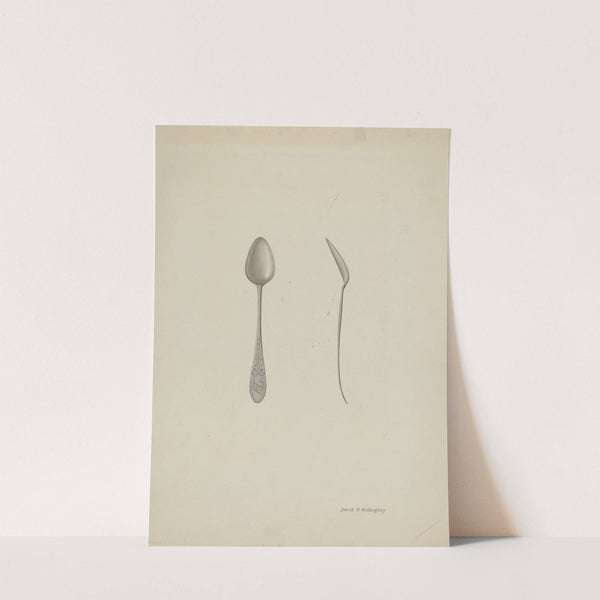 Silver Teaspoon by David P Willoughby