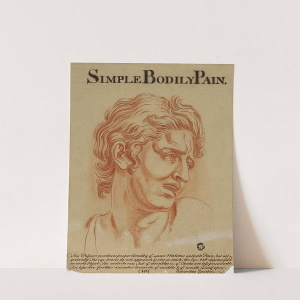 Simple Bodily Pain by Eduardus Jacobus