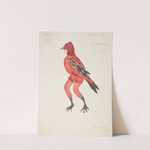 Sing for Your Supper: Spring. A Scarlet Tanager (1934-1943) by Mary Merrill