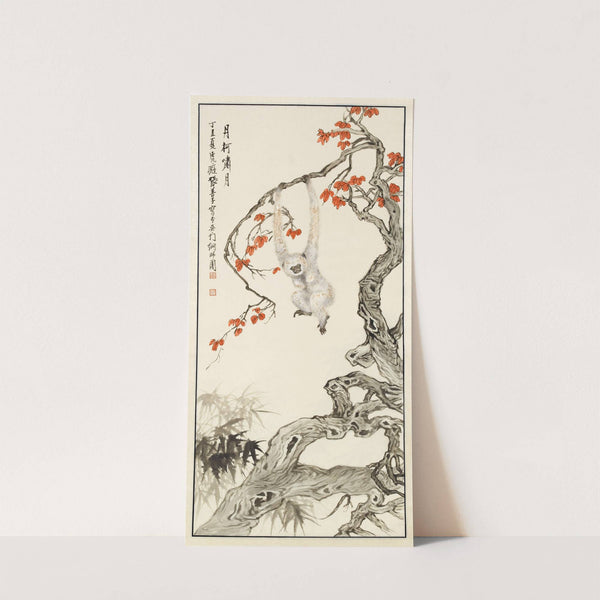 Singe blanc by Shanzi Zhang