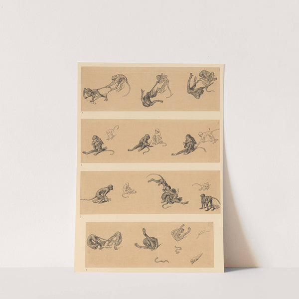 Singes (1885) by Théophile Alexandre Steinlen