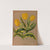 Single Early TulipYellow Prince With Vartecated Foliage (1872-1881) by Arentina Hendrica Arendsen
