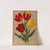 Single Early Tulips 4 (1872-1881) by Arentina Hendrica Arendsen