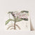 Sir Richard Brook's Air Plant by Sydenham Edwards