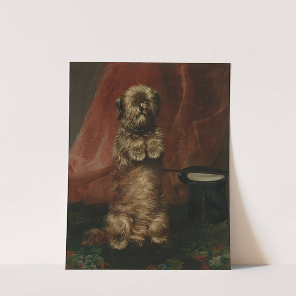 Sit Up Sir; Ginger by Henry Barraud