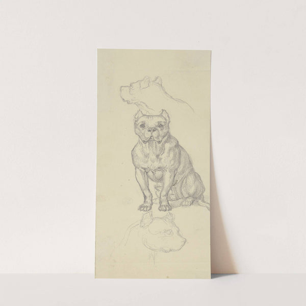 Sitting dog, en face by Ferdinand Fellner