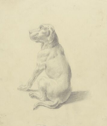 Sitting dog to the left