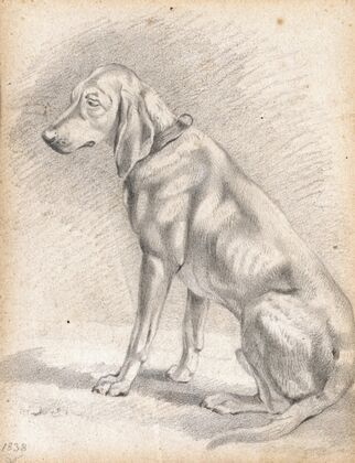 Sitzender Jagdhund