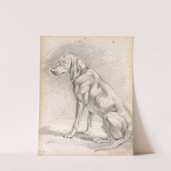 Sitzender Jagdhund by Friedrich Voltz