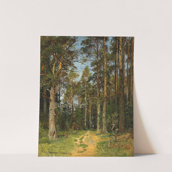 Siverskaya by Ivan Ivanovich Shishkin