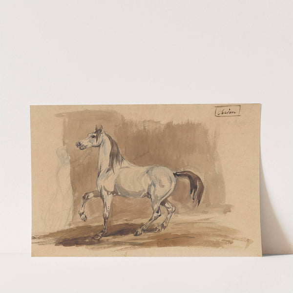 Siwy koń arabski 'Obeian' by Piotr Michałowski