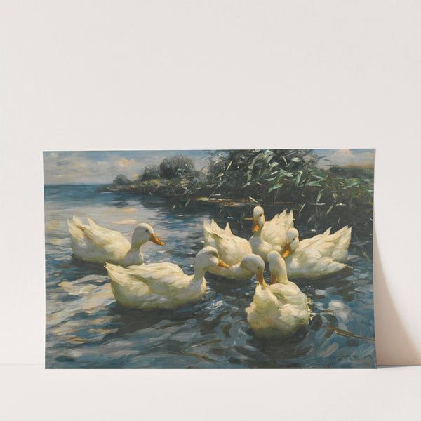 Six Ducks by Alexander Koester