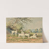 Six Jack Russell Terriers (1880) by Alexander Pope Jr.