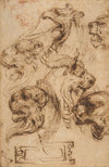 Six Studies of Animal Heads and of a Cartouche