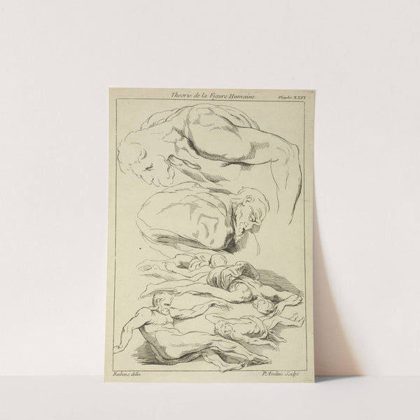 Six studies of male figures in various prone and supine positions by Peter Paul Rubens