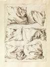 Six Studies of Pillows (1493)