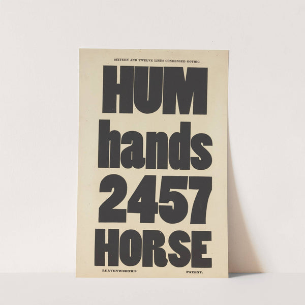 Sixteen and twelve lines condensed gothic by Anonymous