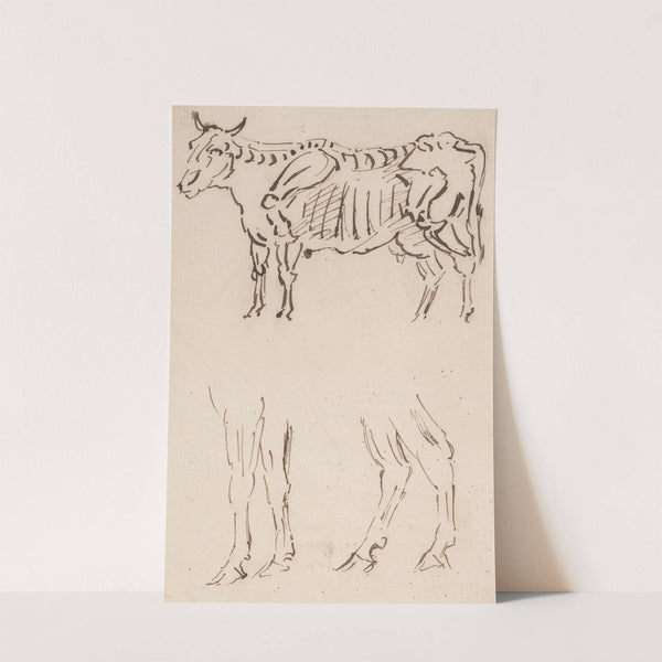 Skeletal Drawing, and Leg Studies, of Cattle by Sawrey Gilpin