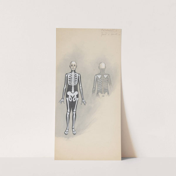 Skeletons - front & back by Will R. Barnes