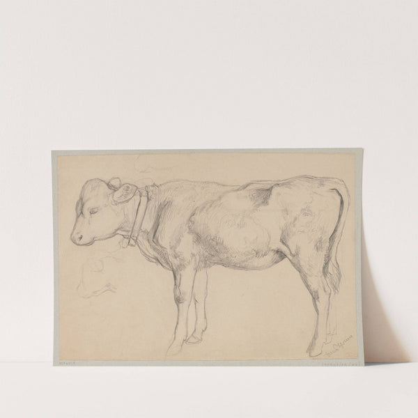 Sketch of a bull in profile (1875 - 1924) by Hans Thoma