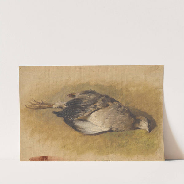 Sketch of a Dead Partridge (1840) by Friedrich Carl von Scheidlin