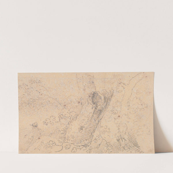 Sketch of a Hollow Tree Trunk by Thomas Hastings