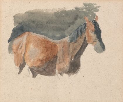 Sketch of a Horse