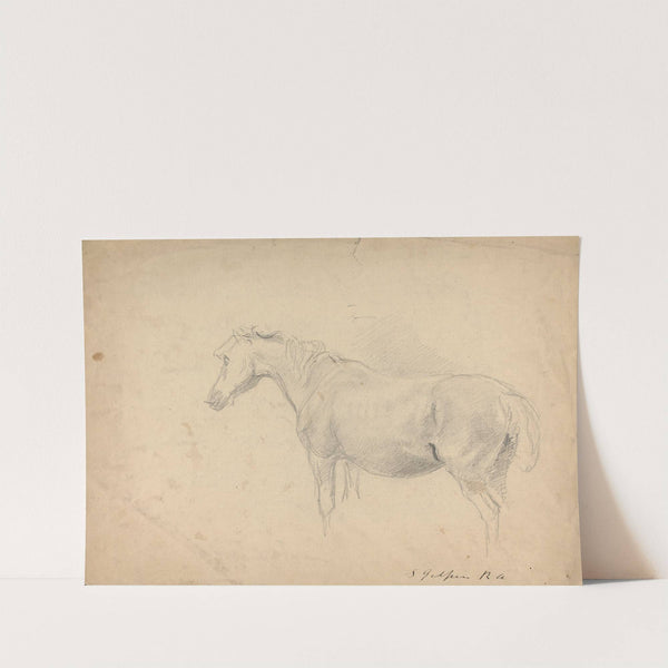 Sketch of a Horse by Sawrey Gilpin