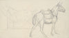 Sketch of a Horse (1817)