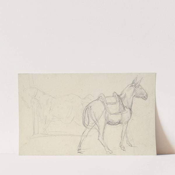 Sketch of a Horse (1817) by Théodore Géricault