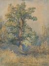 Sketch of a Tree (1872)