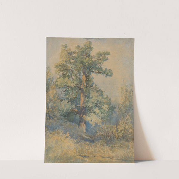 Sketch of a Tree (1872) by Ladislav Mednyánszky