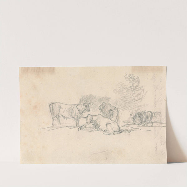 Sketch of Cattle by Sawrey Gilpin