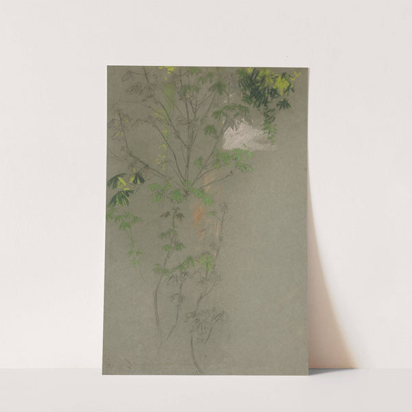 Sketch of leafing tree branches by Edwin Austin Abbey