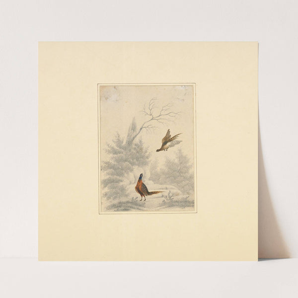 Sketch of pheasant, one flying and the other on the ground (1820 - 1830) by Henry Thomas Alken