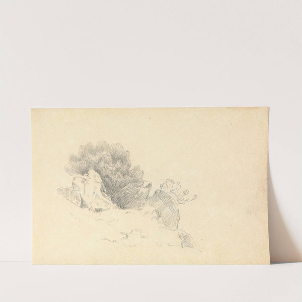 Sketch of Rocks and Shrubs by Thomas Bradshaw