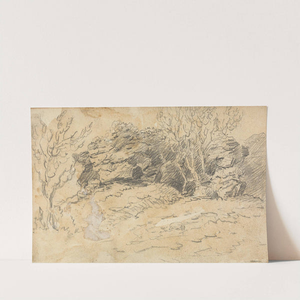 Sketch of Trees and Rocks by Thomas Bradshaw