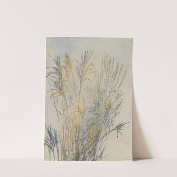 Sketchbook by Barbara Bodichon