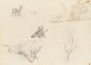 Sketchbook of Landscape and Animal Subjects