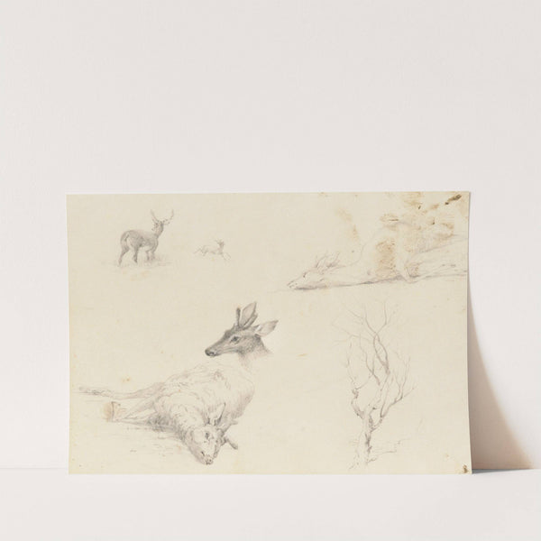 Sketchbook of Landscape and Animal Subjects by Thomas Hewes Hinckley