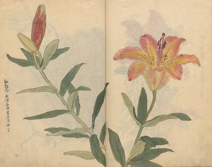 Sketchbook Pl.002 (1826-1840)