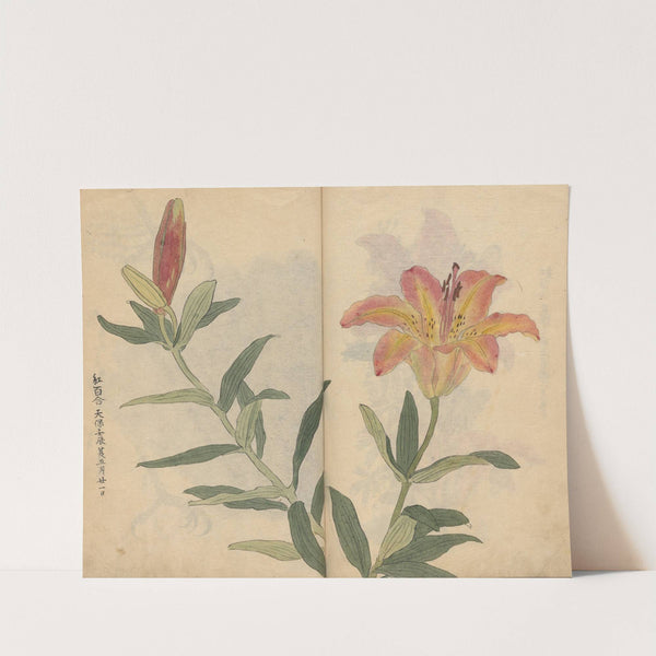 Sketchbook Pl.002 (1826-1840) by Ariyoshi Kondo