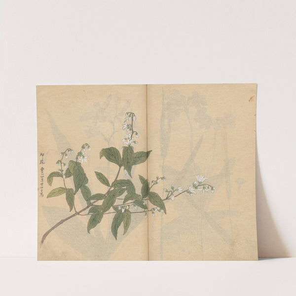 Sketchbook Pl.005 (1826-1840) by Ariyoshi Kondo