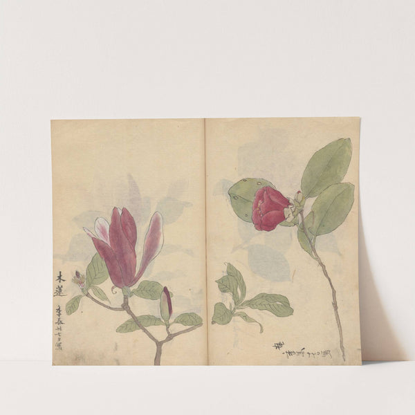 Sketchbook Pl.008 (1826-1840) by Ariyoshi Kondo