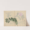 Sketchbook Pl.011 (1826-1840) by Ariyoshi Kondo